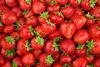 Erdbeeren - AdobeStock