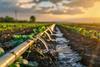 Farms' water use is under scrutiny