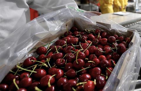 Chilean cherries